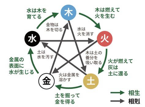 五行 木 性質|四柱推命【木】の五行とは？性格や運勢、恋愛、仕事、相性を解。